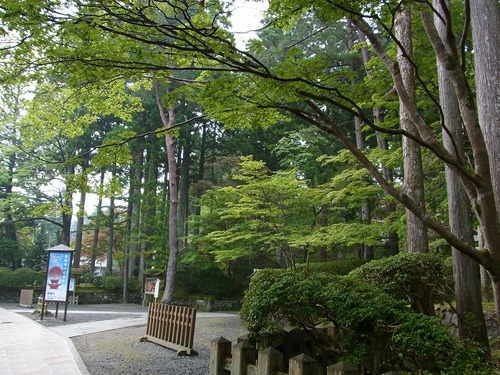 20120729cx (72)