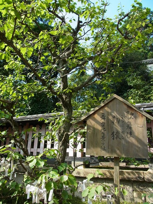 20110927 (5)