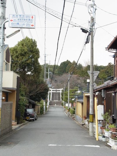 20120328 (41)