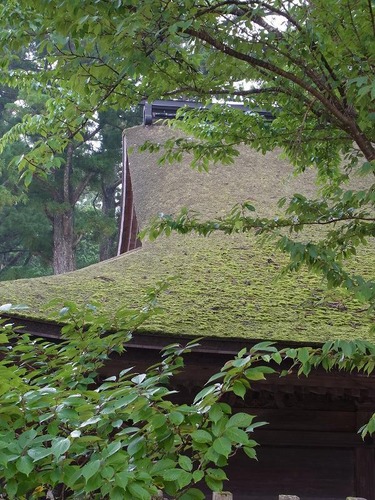 20120729cx (125)