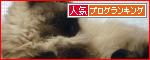 京都在住≪兎椛≫楽園猫生活