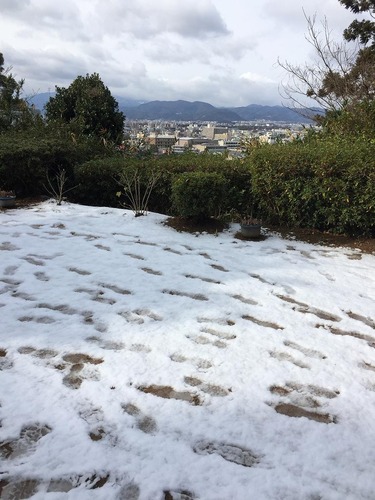 20160121 (2)
