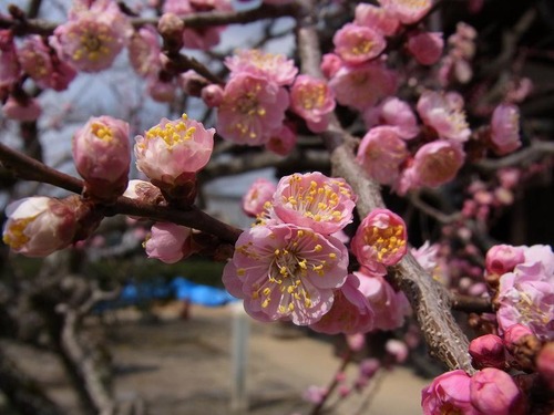 20120328 (5)