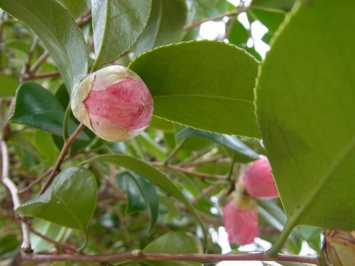 20120328 (10)