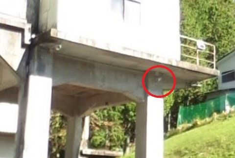 ジェイル ハウス ロック 希望の里告発ブログ