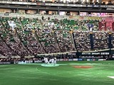 IMG_3852