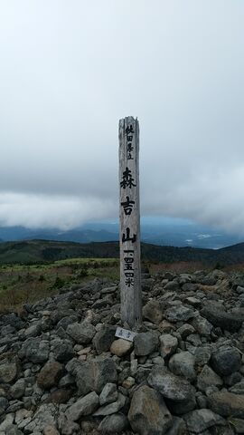 IMG_20211013_113507