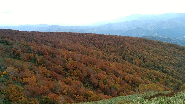 IMG_20211013_102857