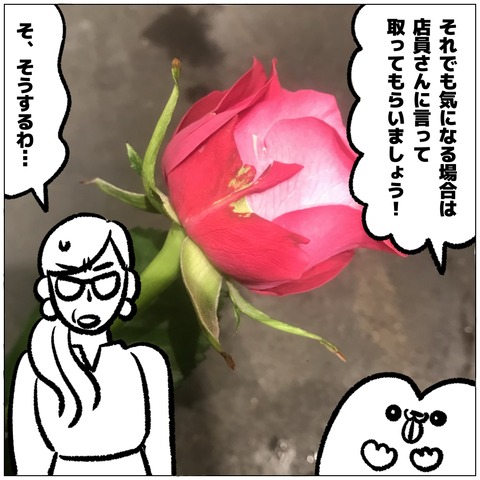 無題429_20240918110622