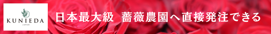 テキスト