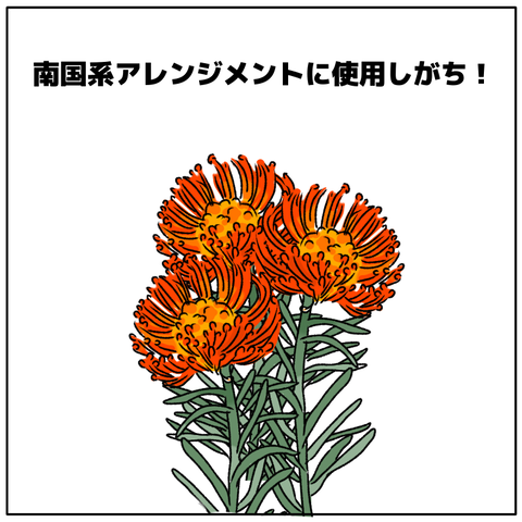 無題2681_20251001084222