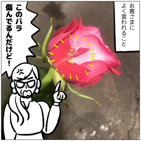 無題402_20240918110601