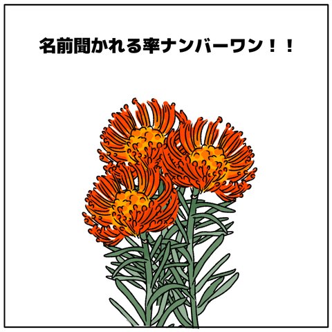 無題2678_20251001084234