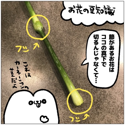 無題394_20240916105555