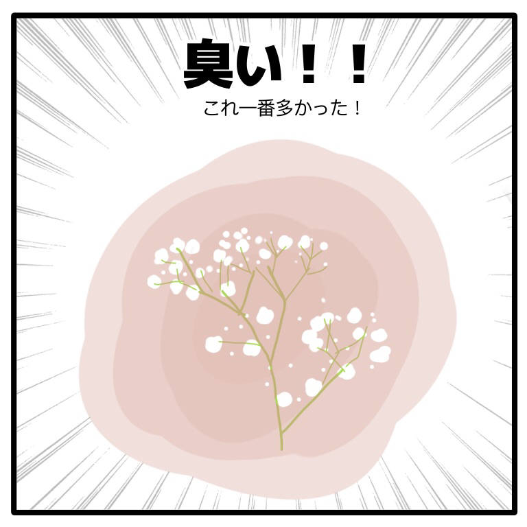 かすみ草あるある キチジローの花のおブログ Powered By ライブドアブログ