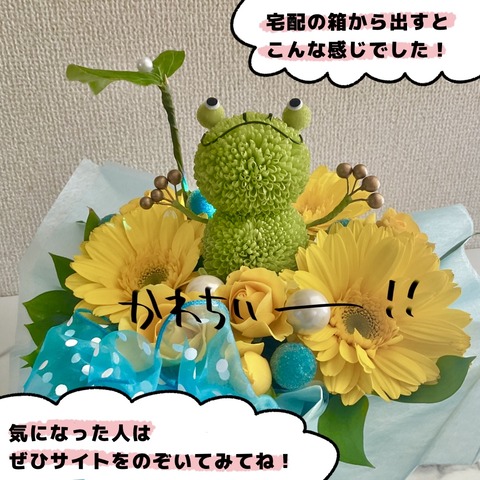 無題833_20250206110927