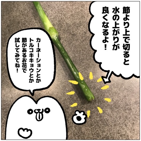 無題391_20240916105601