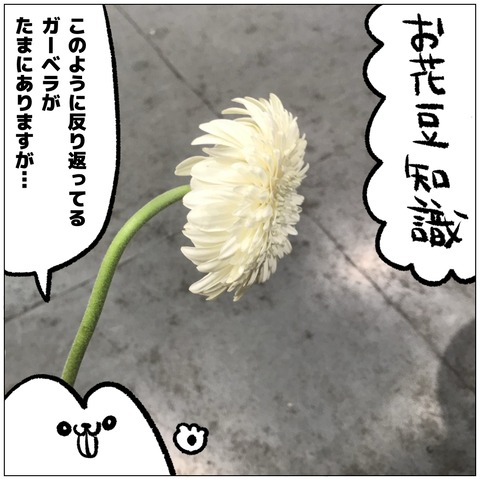 無題536_20241007150844