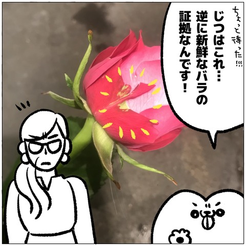 無題406_20240918110606