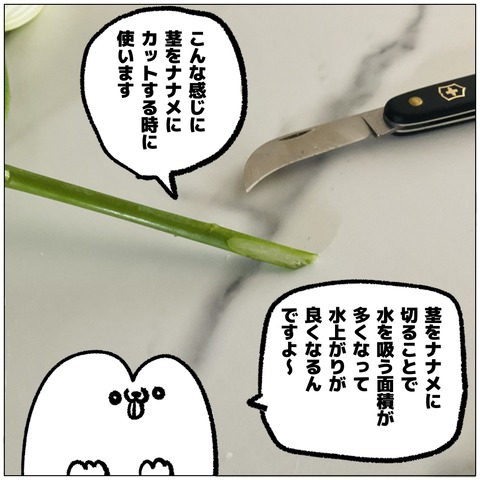 無題476_20240925152407