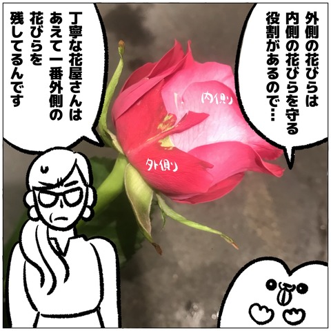 無題409_20240918110611