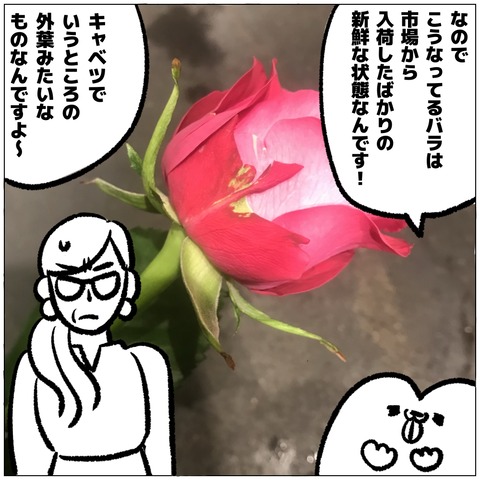 無題428_20240918110617