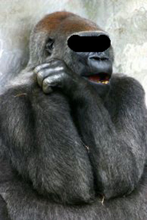 goriraaaaaaa