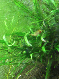 2012042712340001_edited-1