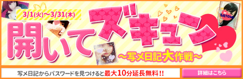 saiplan_1456722753000