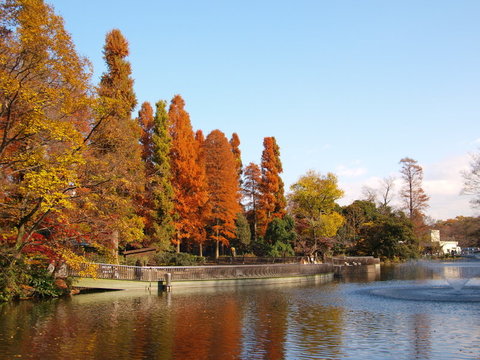 井の頭公園