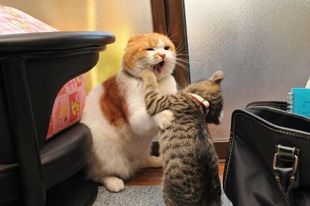 200920122020_3005-thumbnail2