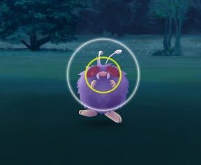 ポケモンgo ライコウ厳しすぎひんか ポニテで過ごすと頭が臭い ポケモンgo ライコウ厳しすぎひんか ポニテで過ごすと頭が臭い