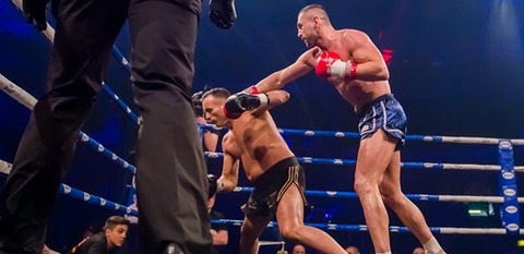 ピーター・マエストロビッチ