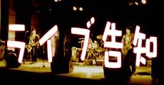 ライブ告知