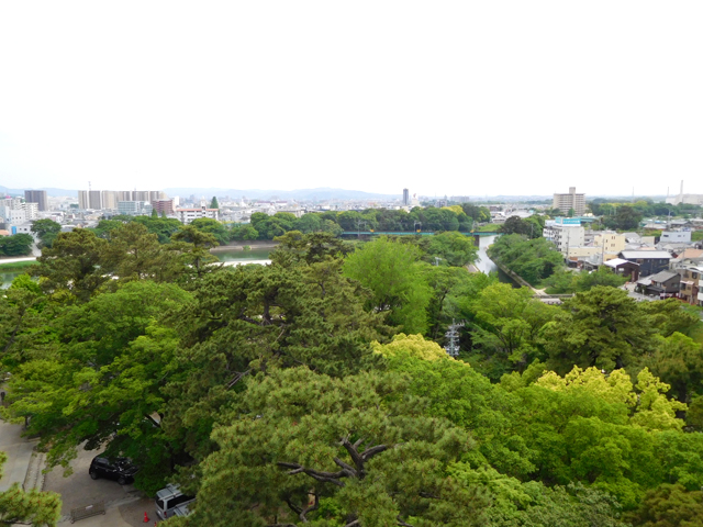 DSCN0074