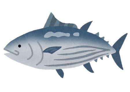 fish_katsuo2