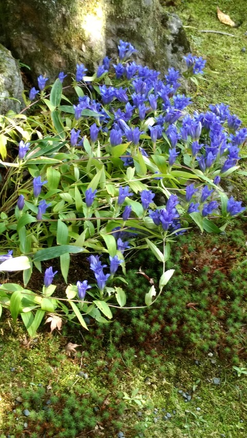 IMG_20161103_095341342