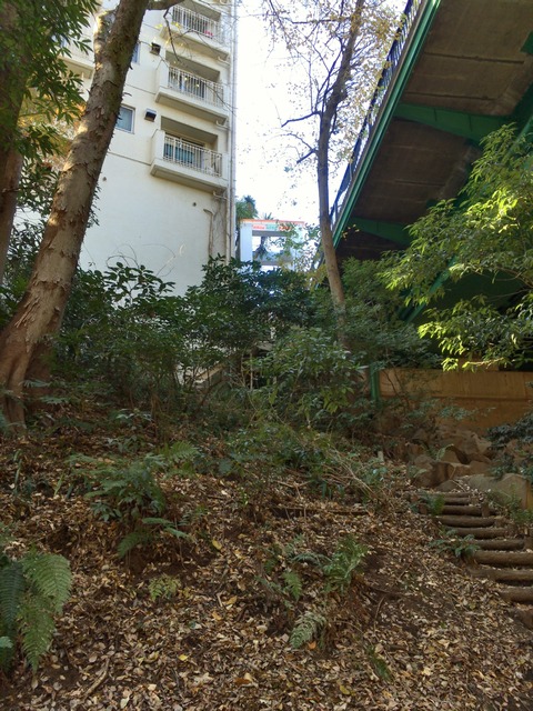 555D1F8A-B3C8-4F14-83F9-AA5FF1B4BC2C