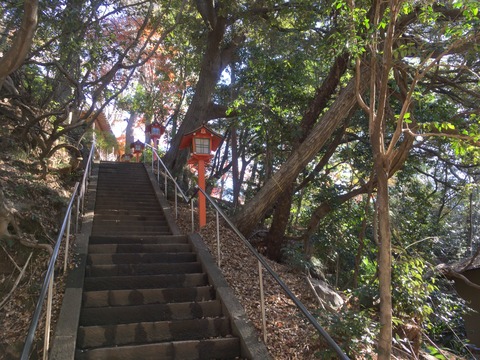 BCCC695D-19BE-4AFC-A631-4004FF3D6A2A