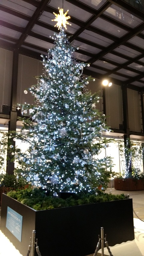 IMG_20161213_193640986_BURST000_COVER_TOP