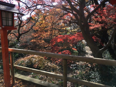 A5AB71E6-2C9F-4198-B200-2D6F90A691C5