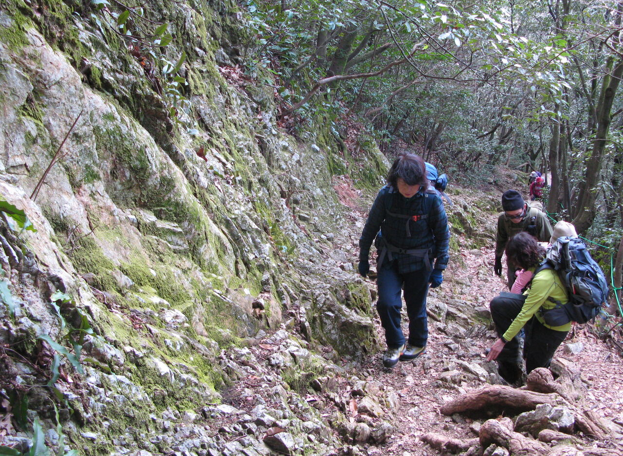 一日に 三回登った 金華山（1/30） : 山の旅社 ガイドの日記 豊橋木戸