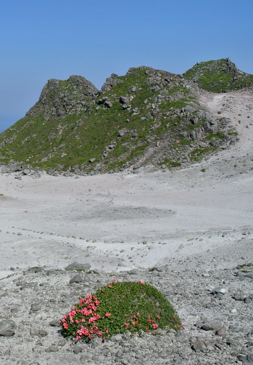 この世の楽園 神津島天上山 5 23 25 山の旅社 ガイドの日記 豊橋木戸