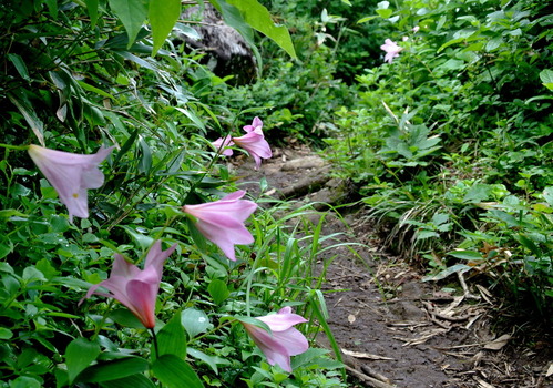 DSC_5914