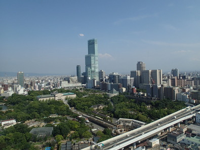 P6191867