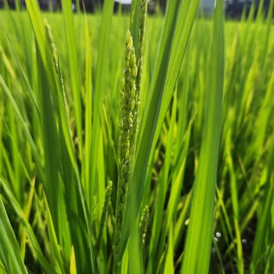 IMG_20230828_094304_540