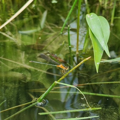 IMG_20230828_094304_632