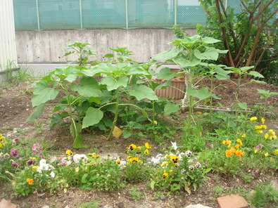 DSC00127