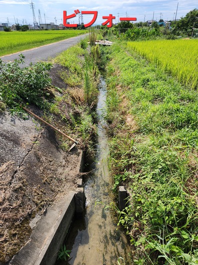 20250808_144636 (002)