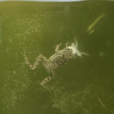 IMG_20230828_094304_691